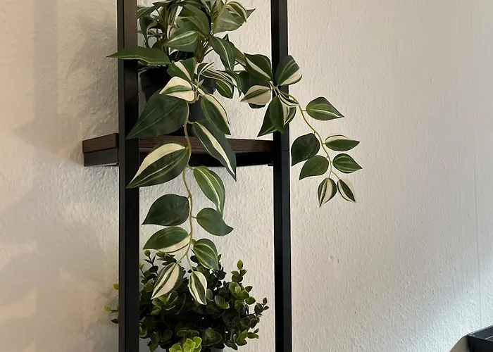 Gemuetliche, Zentrale Nahe Uni & Duesseldorf Wuppertal